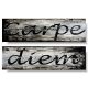 carpe diem obraz z cytatem