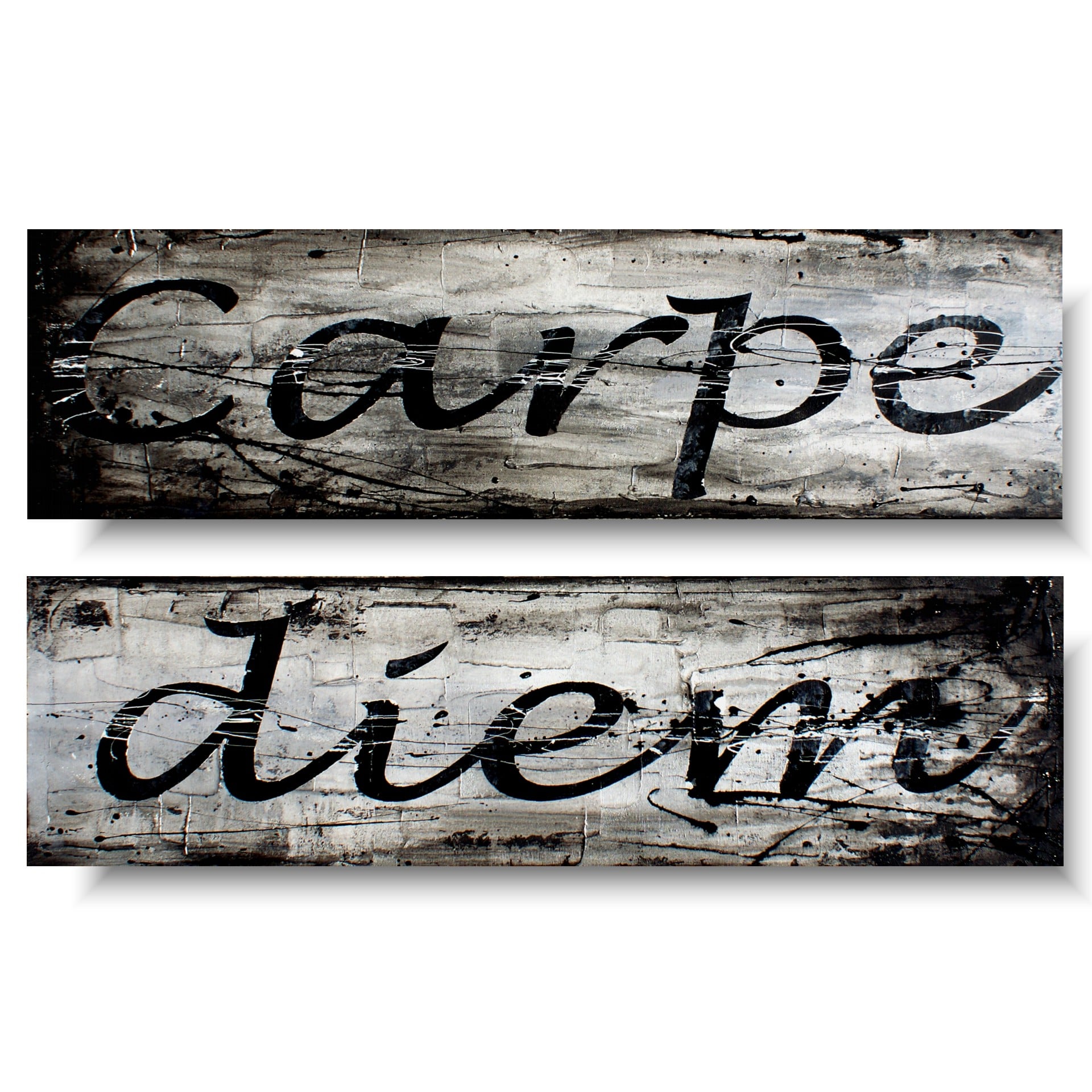 carpe diem obraz z cytatem