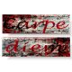 czerwony obraz carpe diem