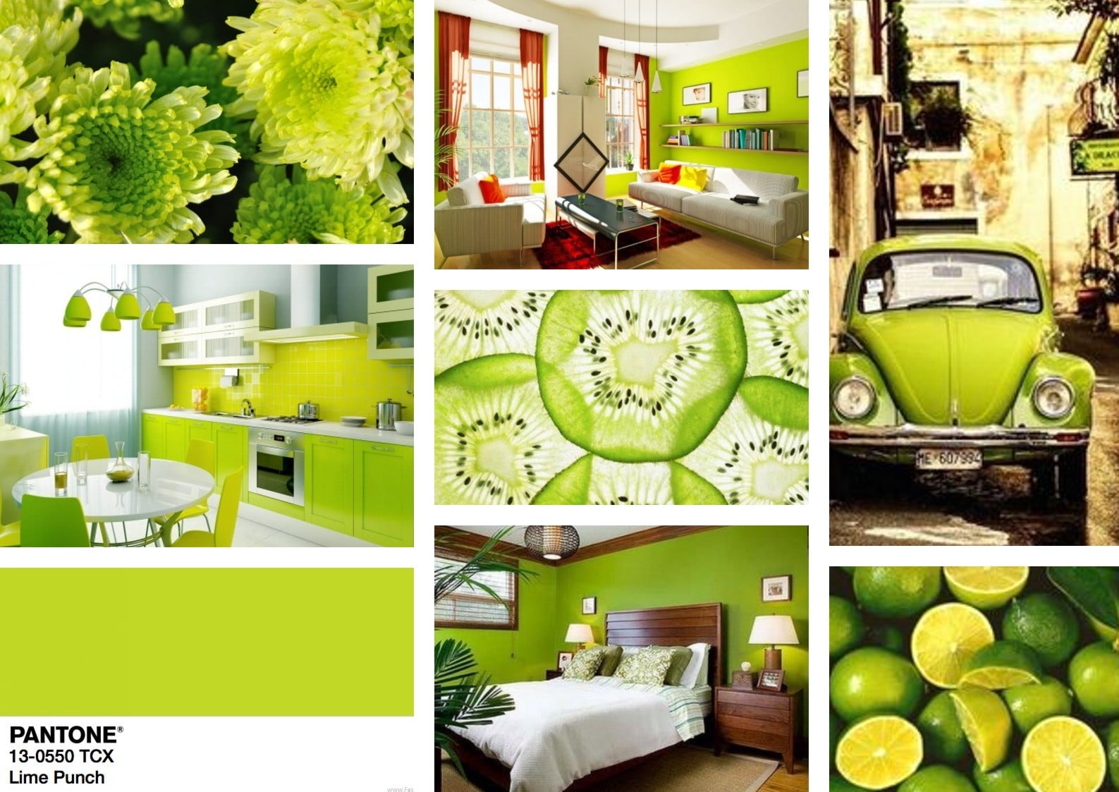 lime punch pantone 2018